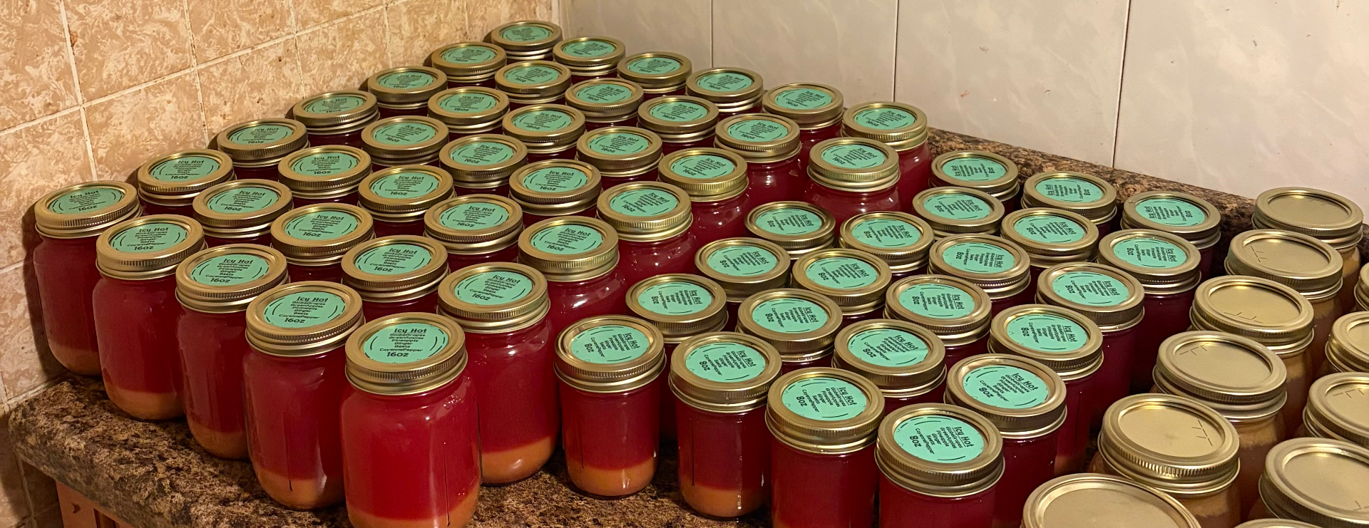Single Day Cleanse — 1 Day Cleanse